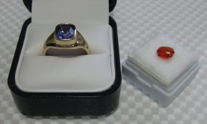 dr_041710_01.jpg