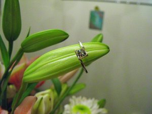 Ashring05.jpg