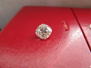 kylie117gogring4.jpg