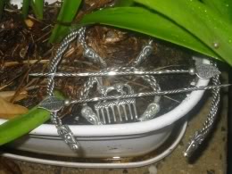torcs.jpg