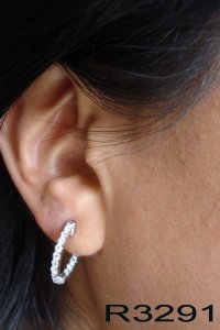 r3291ear.jpg