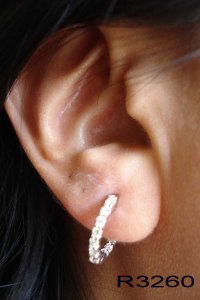 r3260ear.jpg