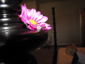 wedding rings 137.jpg