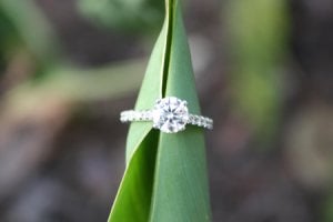 ring2march2620100.jpg
