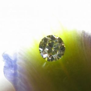 28 oec iris pattern rs.JPG