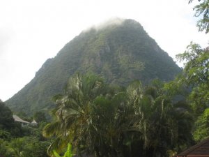 IMG_3377.JPG