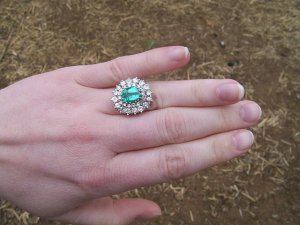 graff ring 036.JPG graff ring 036.JPG