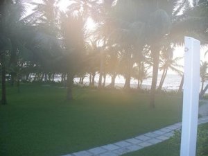 Honeymoon 022.jpg