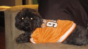 Chester loves TN.JPG