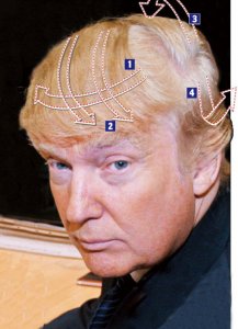 trumphairdo.jpg