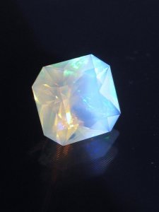 IMG_0690.jpg