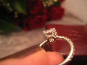 rsz_img_2470.jpg