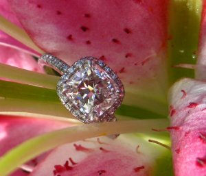 RingReduced01.jpg