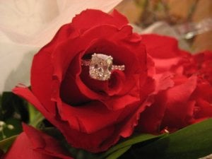 rsz_img_2464.jpg