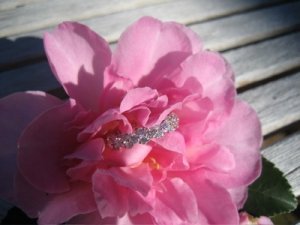 eternitybandcakegirl31.jpg