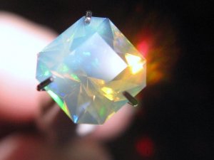 IMG_0655 A.jpg