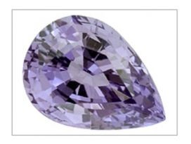 kaylaspinel123.jpg