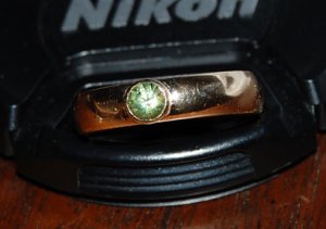 kiz-freedemantoid1.jpg