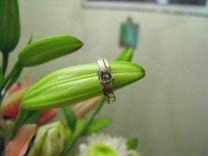 Ashring06.jpg