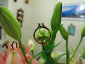 Ashring07.jpg