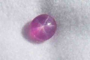 Tpink star.jpg