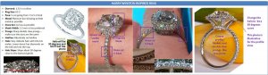 Charmaine_-_Harry_Winston_Overview (Smaller).jpg