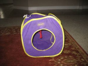 cattoyslac.jpg