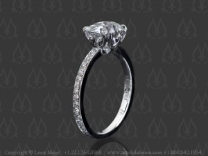 r1118pave instead of  french.jpg