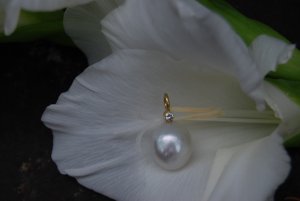 South sea pendant.JPG