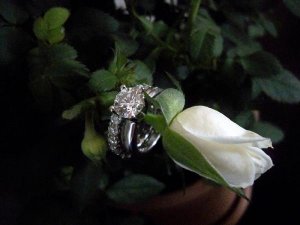 rings2 026.JPG