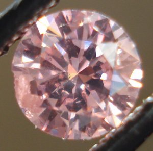 r3065a.jpg