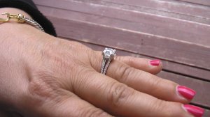 handshot4a.JPG
