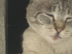 wellscute32.jpg