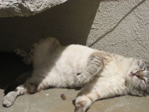wellscute6.jpg