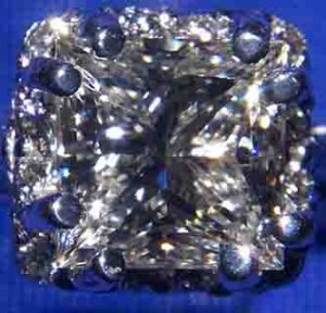 closeup231.jpg