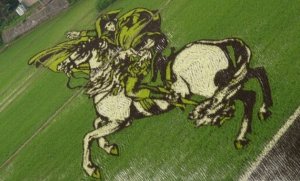 rice_field_art_02.jpg