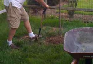 gardengizmoengineer22.jpg