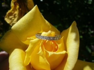 ADDetails-YellowRose0108-sm.jpg
