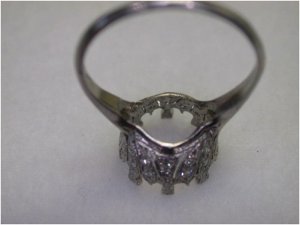 ring10gallhged.jpg