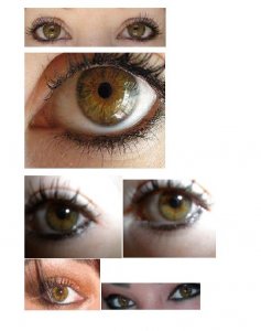 Eyes collage.jpg