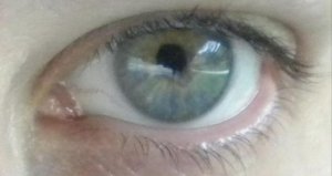 TLgreyblueeyes.jpg