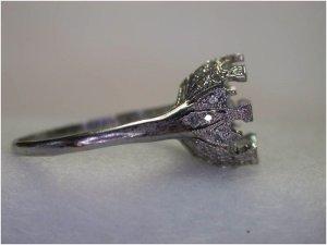 ring2lkjhgvgb.jpg