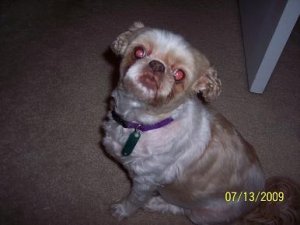 Heidi Face.JPG