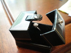 bgd_mwm_ptorchiere1.jpg