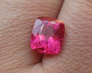 IMG_9263 freke.JPG