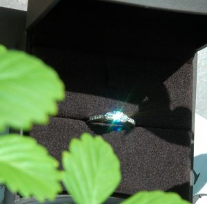 062010b.JPG