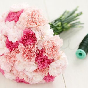 carnations[2].jpg