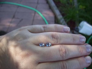100_09411.jpg
