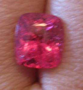 IMG_9256 freke.JPG