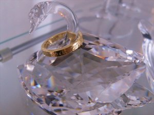 swan ring.jpg